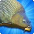 Carp Fishing Simulator - Pike, Perch & More (Мод, Много денег)