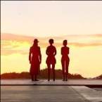 Projekt: Passion (18+)