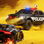 Police Raiders