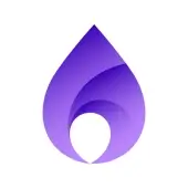 FlameDNS - DNS Changer (Мод, Premium Unlocked)