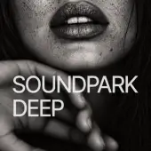 SOUNDPARK DEEP (Мод, Pro Unlocked)